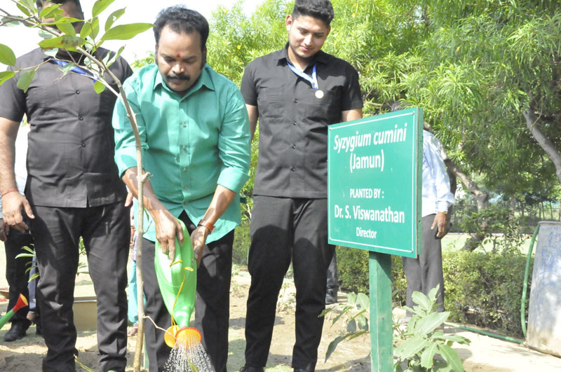 Tree Plantation Drive