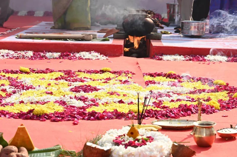 Ponagal and New Year — Photo 7 of 7