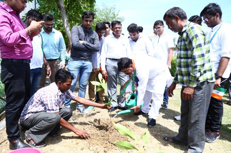 Tree Plantation — Photo 1 of 1