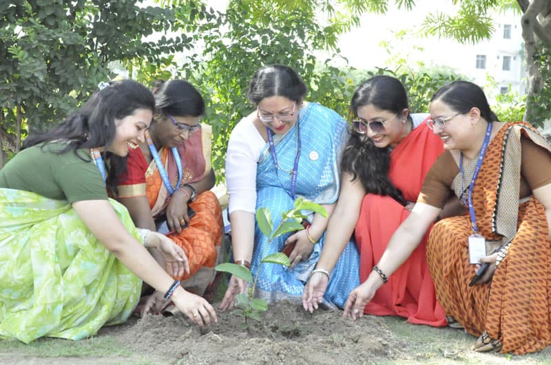 Tree Plantation Drive — Photo 6 of 7