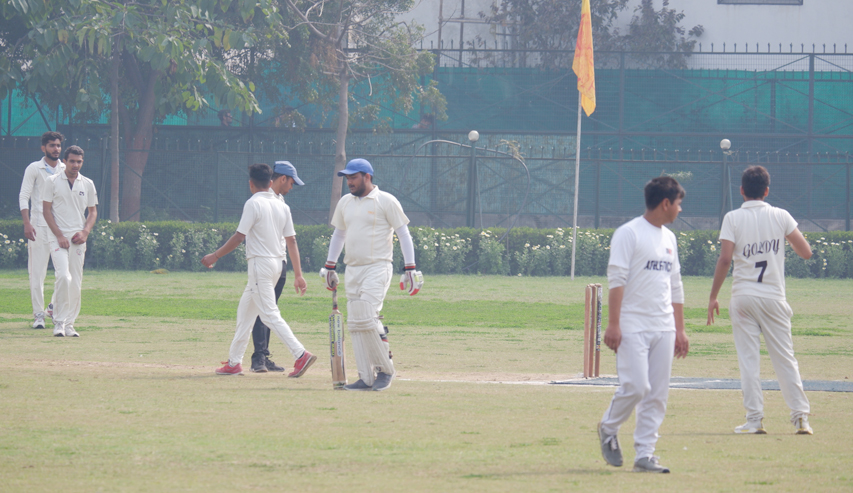 Cricket
