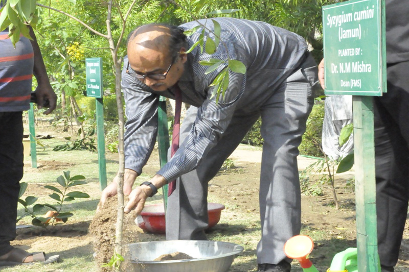 Tree Plantation Drive — Photo 2 of 7