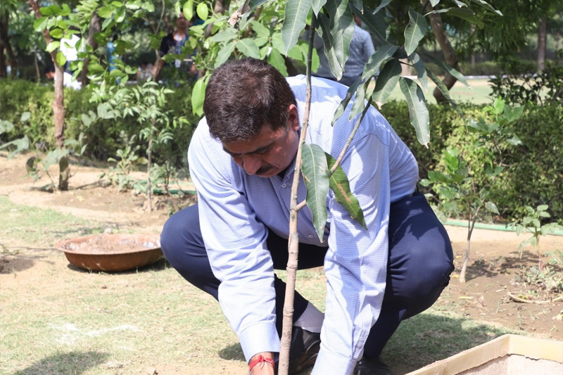 Tree Plantation Drive — Photo 1 of 7